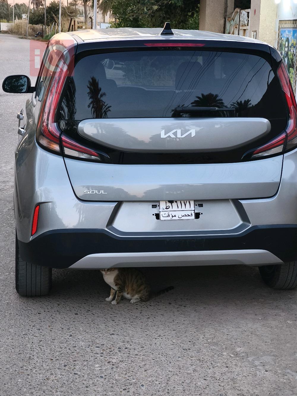 کیا سۆڵ